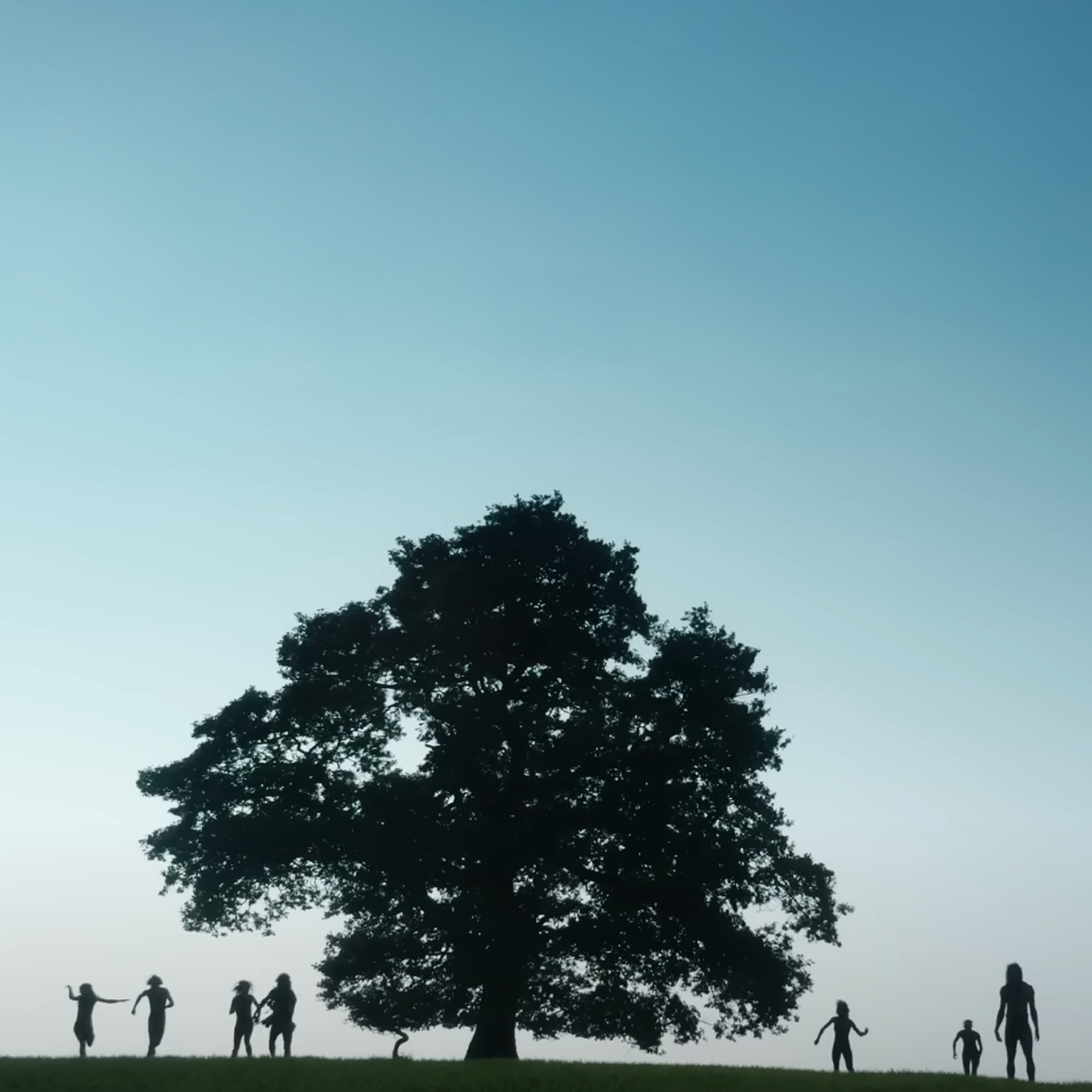 tree surrounded by infected